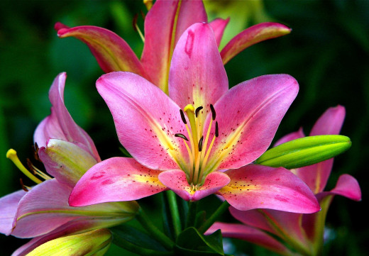 585032 (a): :2800x1940